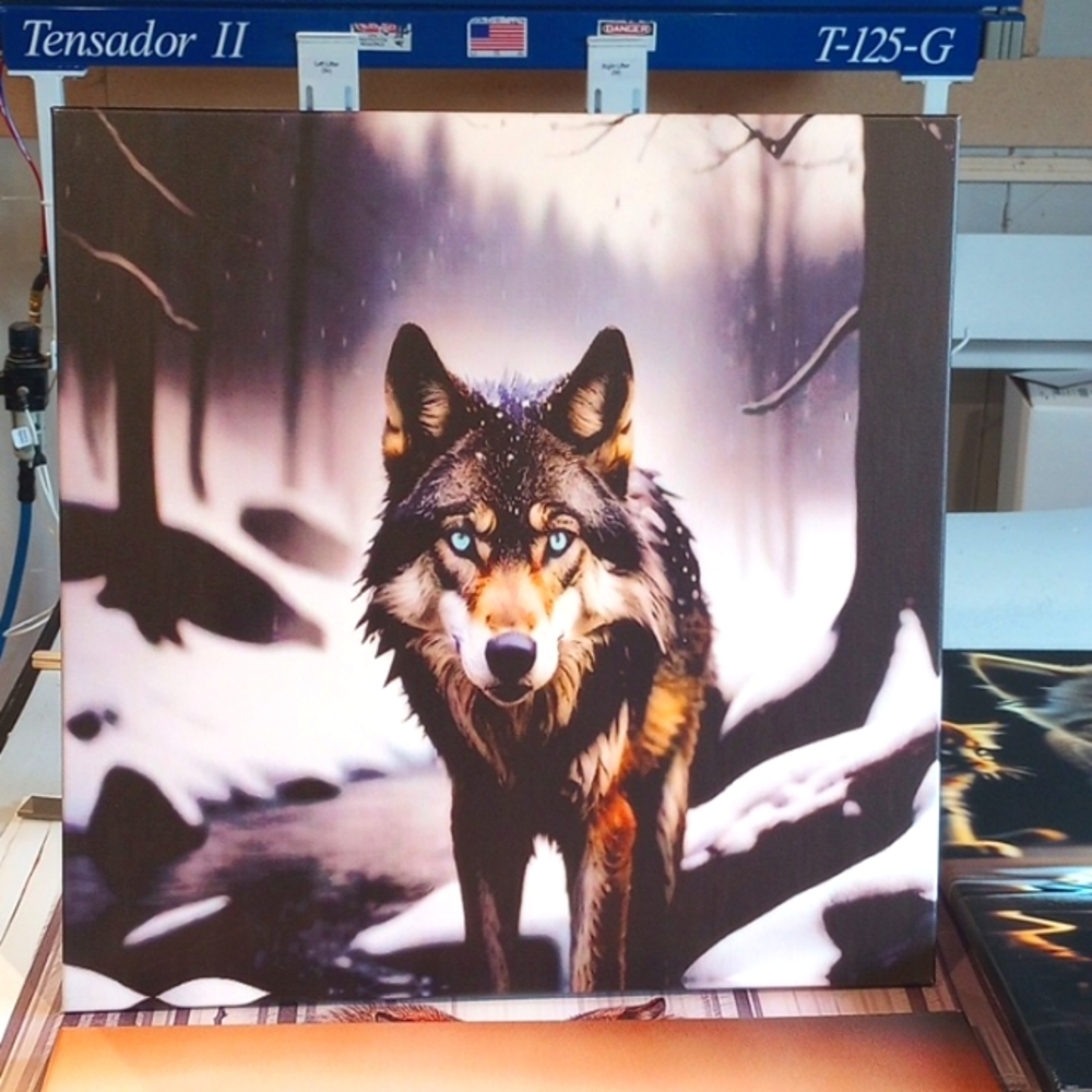 Canvas picture 20x20" Wolf